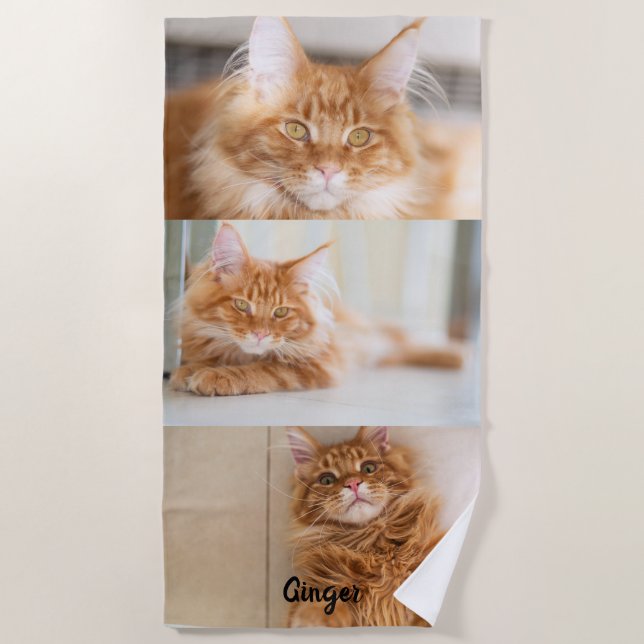 Three Big Photo Collage Beach Towel (Front)