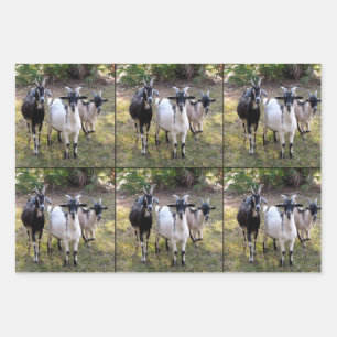 Three Billy Goats Wrapping Sheets