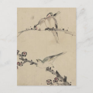 Three Birds on a Branch, One with Blossoms Postcard