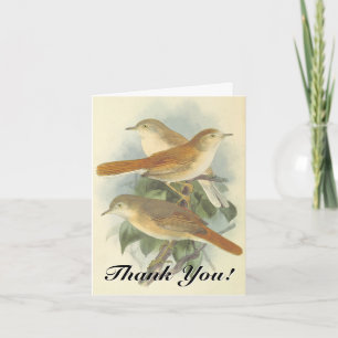 Three Birds on a Branch, "Thank You!" Card