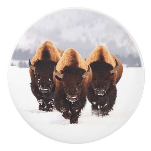 Three Bison Ceramic Knob (Front)