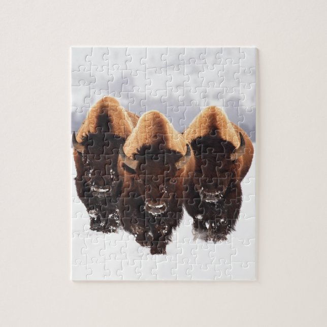 Three Bison Jigsaw Puzzle (Vertical)