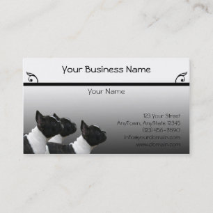 Three Black and White French Bulldogs Portrait Business Card