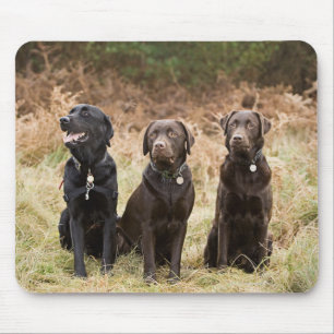 Three Black Labrador retrievers Mouse Mat
