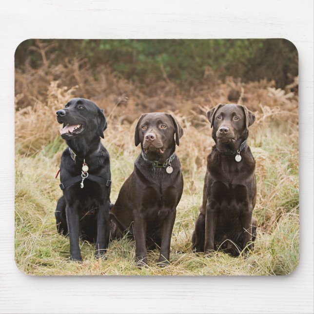 Three Black Labrador retrievers Mouse Mat (Front)