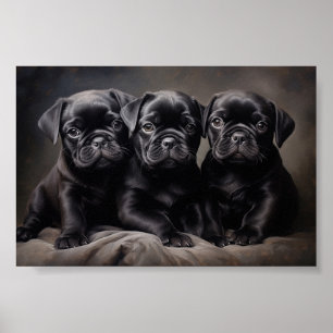 Three black Pug puppies Poster