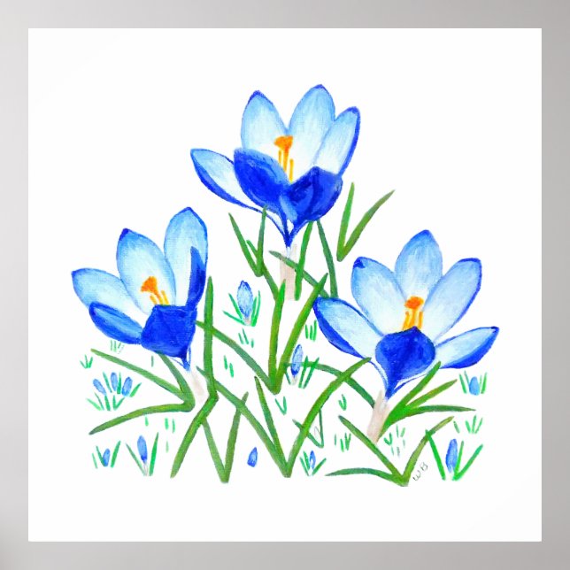 Three Blue Crocus Flowers Print (Front)