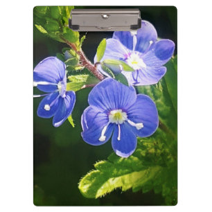 Three Blue Flowers  Clipboard