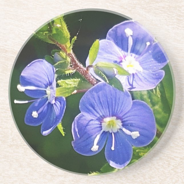 Three Blue Flowers  Coaster (Front)