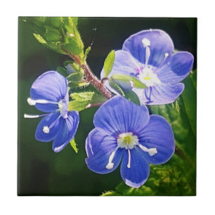 Three Blue Flowers  Tile