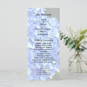 Three Blue Hydrangea Programme