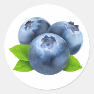 Three blueberries classic round sticker