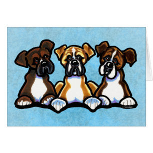 Three Boxers Personalised