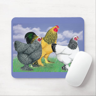 Three Brahmas Mouse Mat