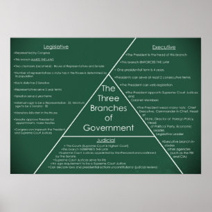 Three Branches of Government Poster