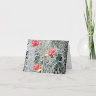 three bromeliad blooms on stalk thank you card