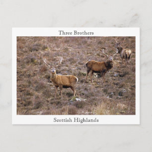 Three Brothers, Scottish Highlands Postcard