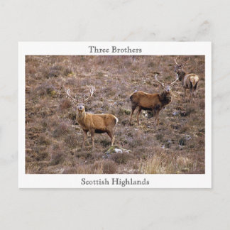 Three Brothers, Scottish Highlands Postcard