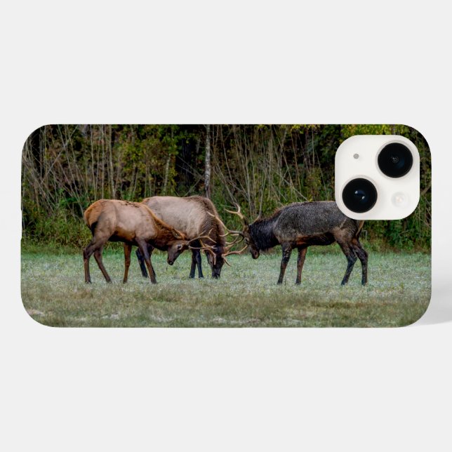 Three Bull Elk Fight Case-Mate iPhone Case (Back (Horizontal))