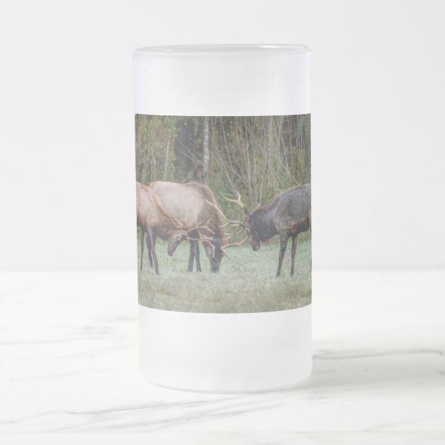 Three Bull Elk Fight Frosted Mug (Center)