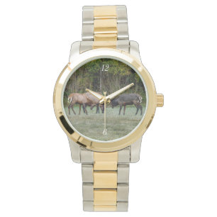 Three Bull Elk Fight Watch