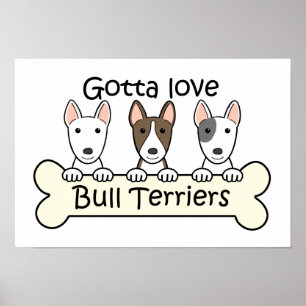 Three Bull Terriers Poster