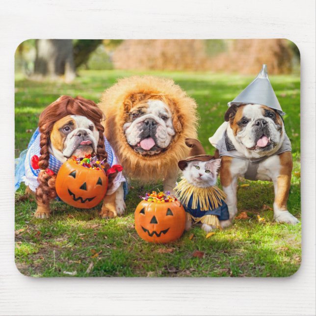 Three Bulldogs in Costumes Mouse Mat (Front)