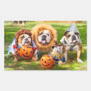 Three Bulldogs in Costumes Rectangular Sticker