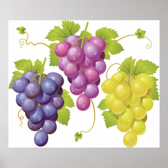 Three Bunches Of Grapes Poster (Front)