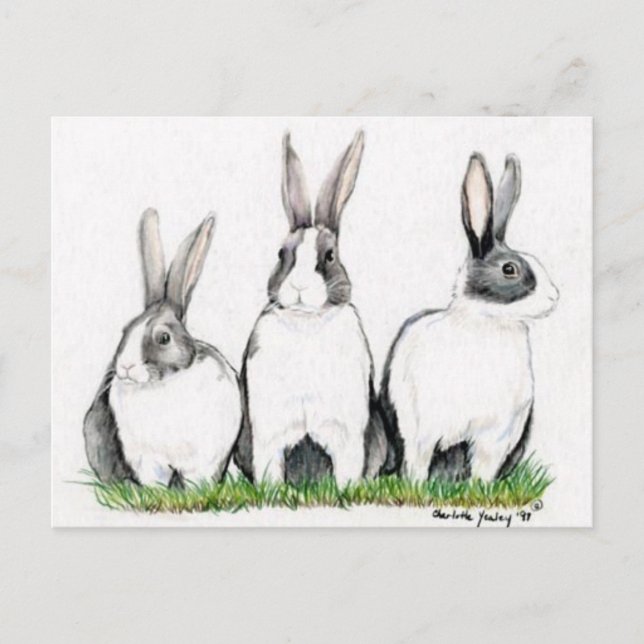 "Three Bunnies" Animal Art Postacard Postcard (Front)