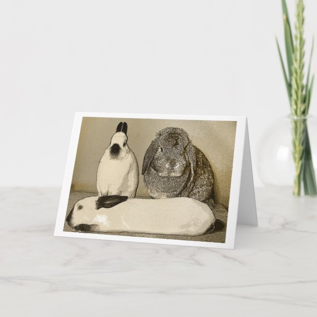 Three Bunnies Greeting Card (Front)