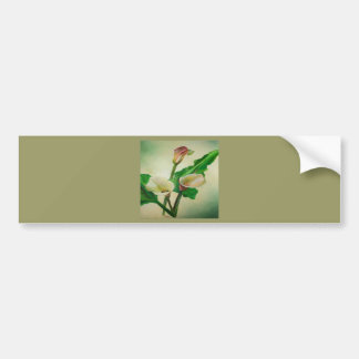 Three Calla Lilies Stunning Botanical Acrylic  Bumper Sticker