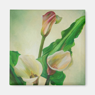 Three Calla Lilies Stunning Botanical Acrylic Magnet