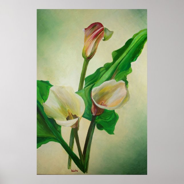 Three Calla Lilies Stunning Botanical Acrylic  Poster (Front)