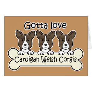 Three Cardigan Welsh Corgis