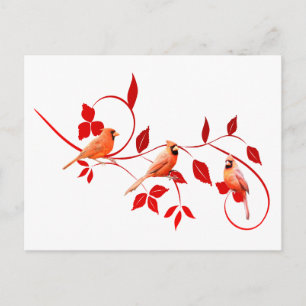 Three Cardinals Postcard