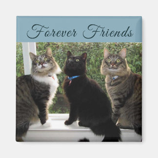 Three Cat Friends in The Window Magnet