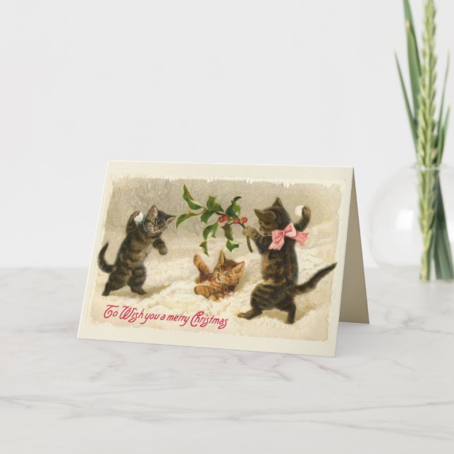 Three cats and a Holly branch Holiday Card (Front)
