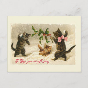 Three cats and a Holly branch Holiday Postcard