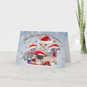 Three Cats and a Pug Christmas Cards