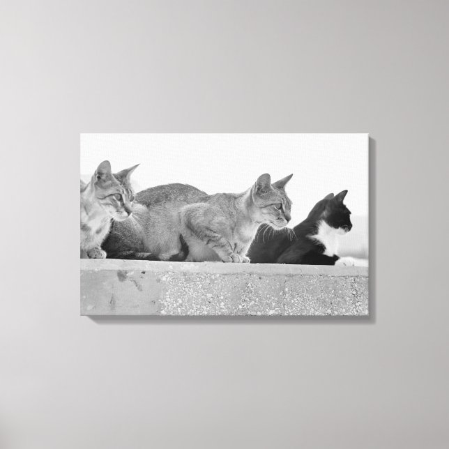 Three cats canvas print (Front)