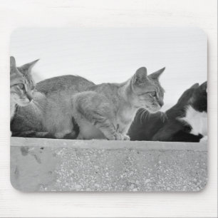 Three cats mouse mat