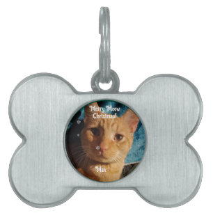 Three Cats Photos, Personalized Christmas  Pet ID Tag
