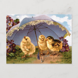 Three Charming Easter Chicks Holiday Postcard