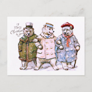 Three Charming Polar Bears Postcard
