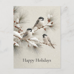 Three Chickadees on a Snow-Dusted Pine Branch Holiday Postcard