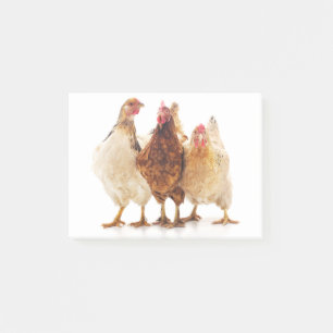 Three Chickens Post-it Notes