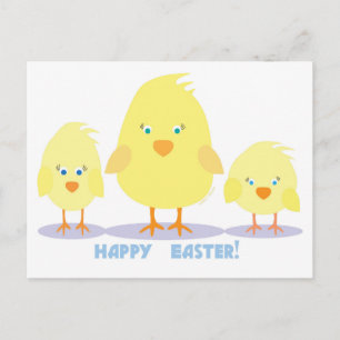 Three Chicks Postcard