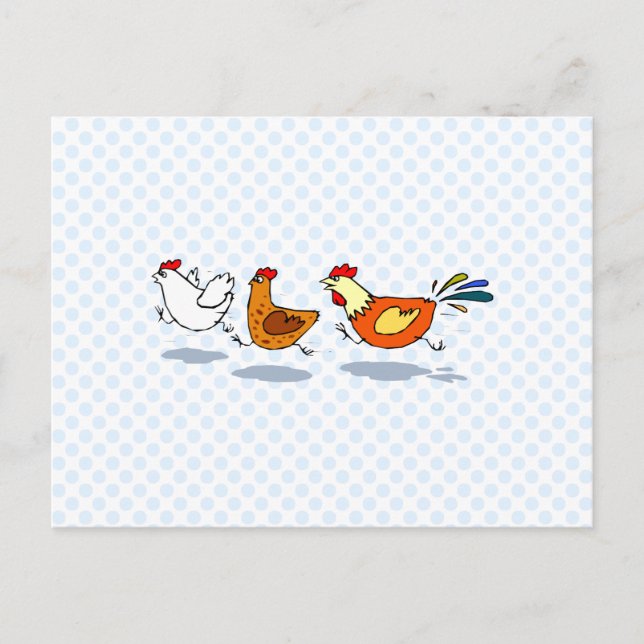Three Chicks Postcard (Front)
