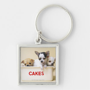 Three chihuahua puppies in cake tin key ring